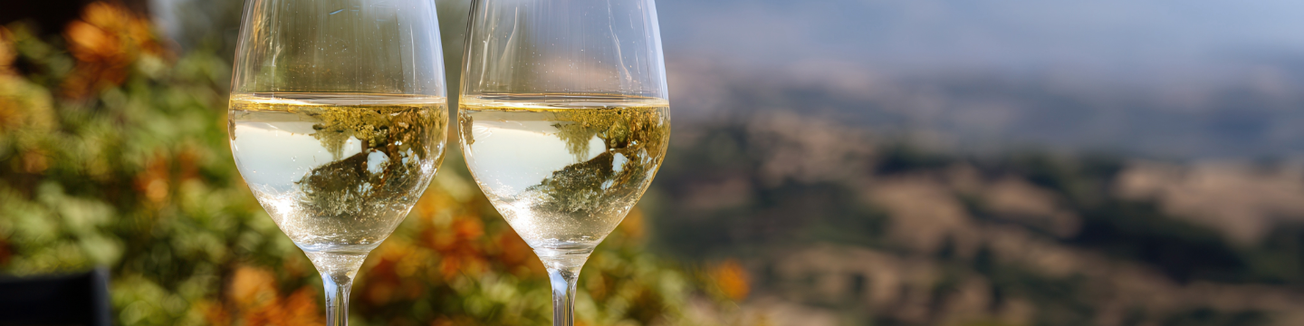 A Sicilia ’nta ’u bicchieri - degustacja win z Sycylii