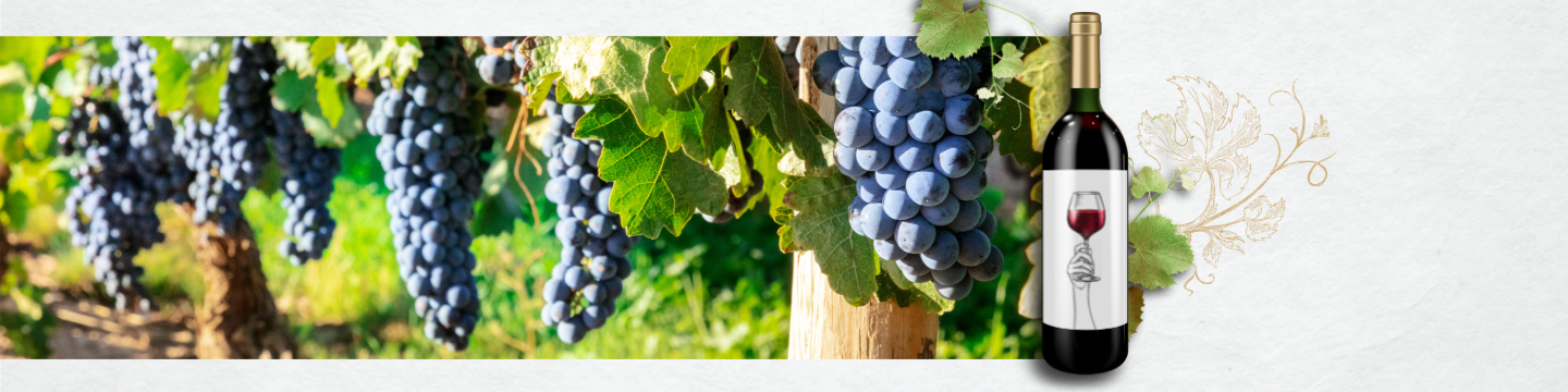 Degustacja Tempranillo - jak region tworzy smak