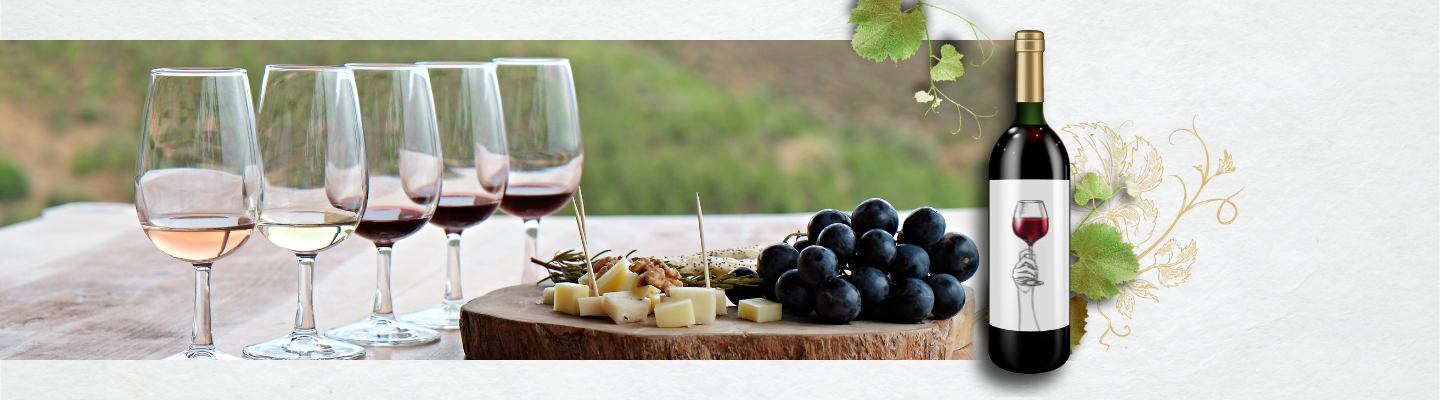 Degustacja win od Gerard Bertrand - Francja, Langwedocja