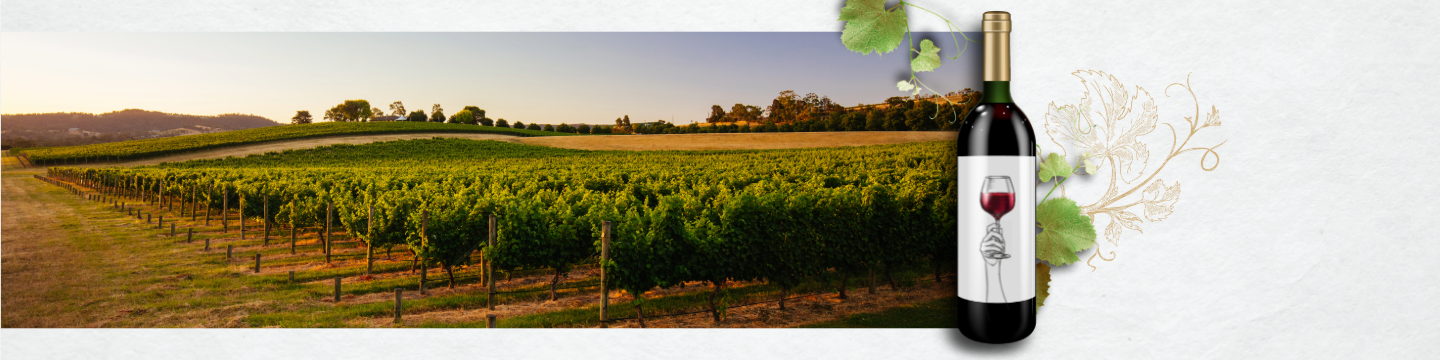 Degustacja win z Australii: Seppeltsfield & Penny's Hill