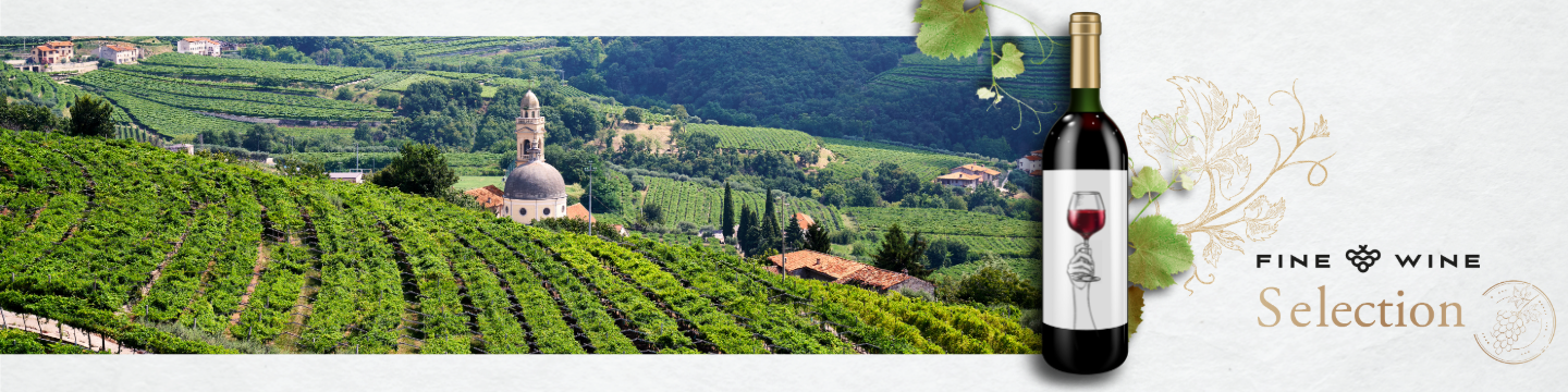 Masterclass z Villa Canestrari - spotkanie z producentem