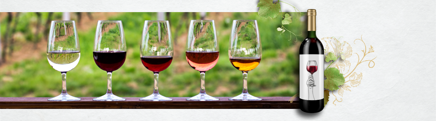 Speed degustacja: Bodega Protos