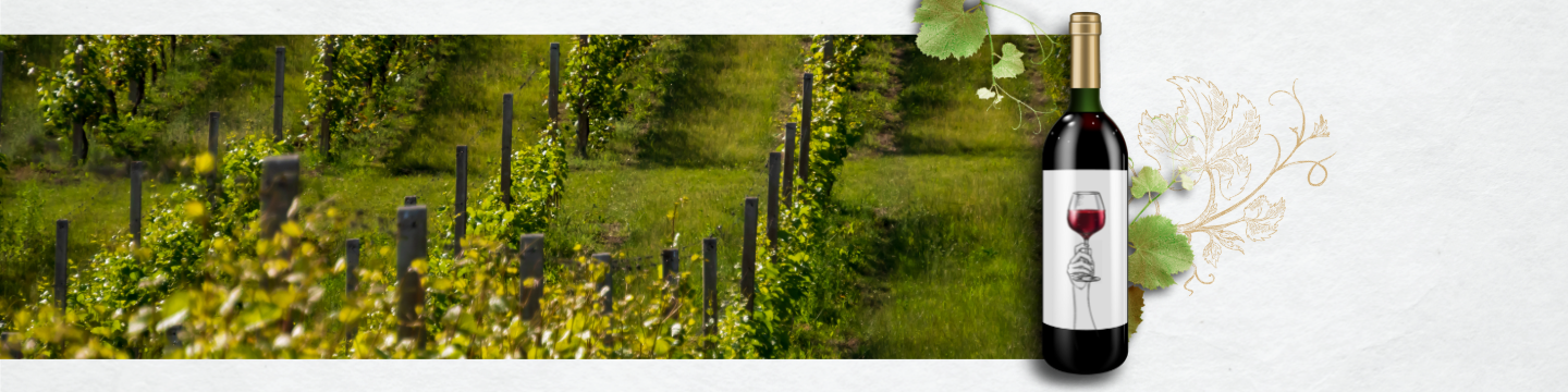Spotkanie z polskim winem – Winnica Warto