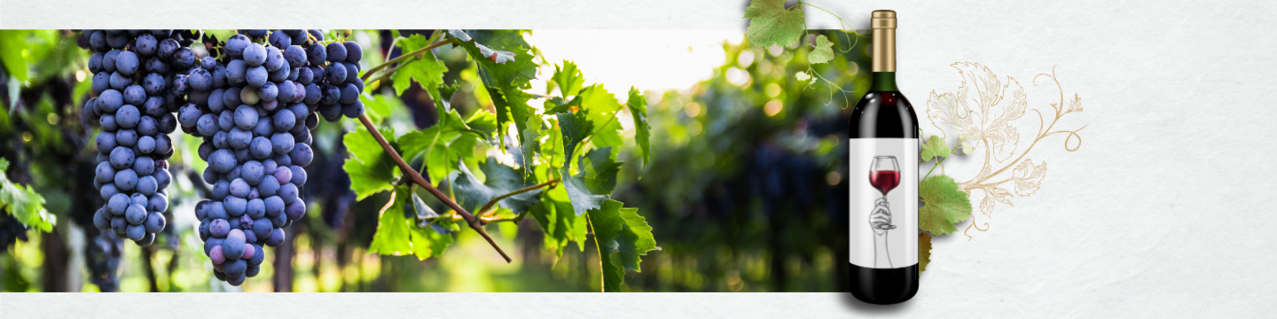 Wina z endemicznych odmian