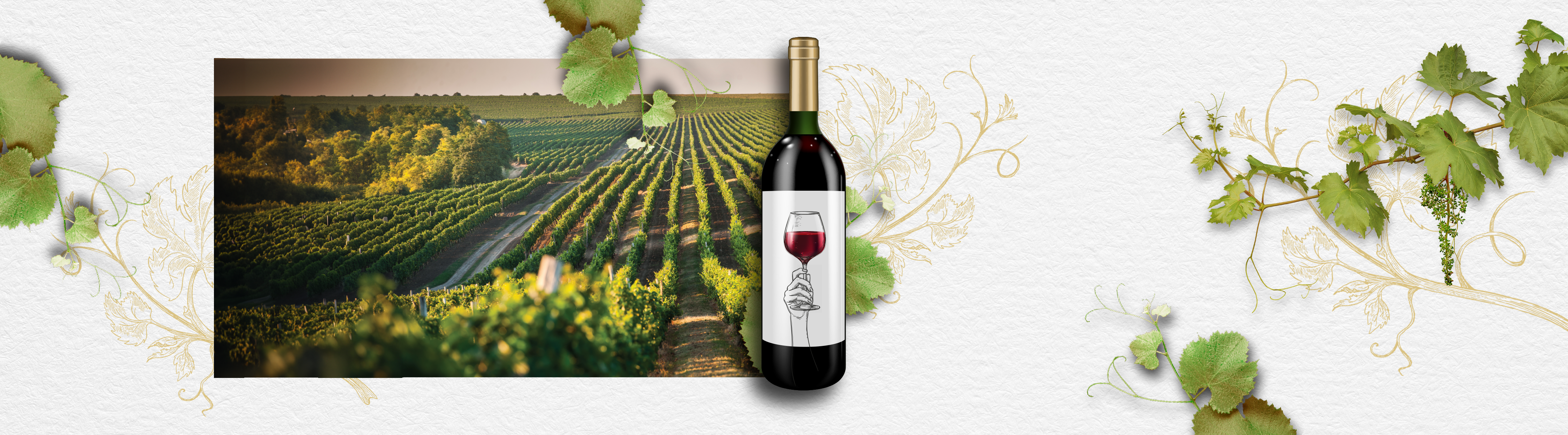 Winowersytet cz.1 - Pierwsze spotkanie z winem