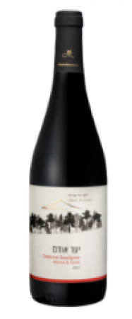 Wino Wino Odem Forest Cabernet Sauvignon - Izrael