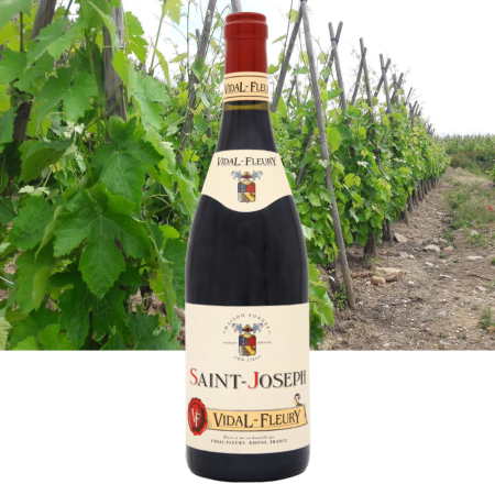 Wino Vidal-Fleury Saint-Joseph Rouge - Francja