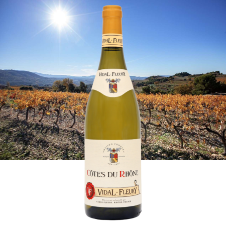 Wino Vidal-Fleury Côtes du Rhône Blanc - Francja