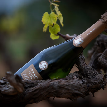 Cava Bohigas Extra Brut Gran Reserva - Hiszpania