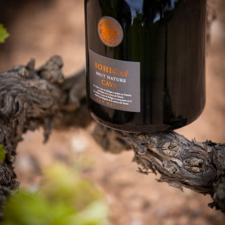 Cava Bohigas Brut Nature Gran Reserva - Hiszpania