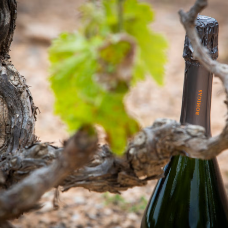 Cava Bohigas Brut Nature Gran Reserva - Hiszpania