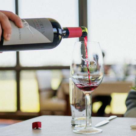 Wino Saurus Select Cabernet Sauvignon - Argentyna