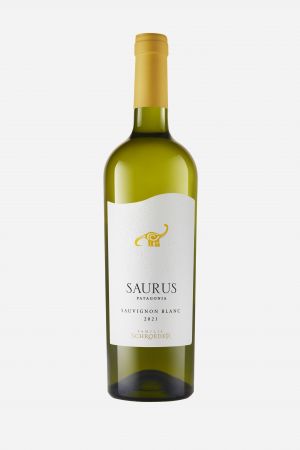 Wino Saurus Sauvignon Blanc - Argentyna