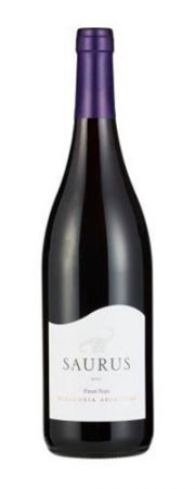 Wino Saurus Pinot Noir - Argentyna