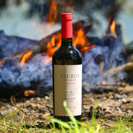 Wino Saurus Select Malbec - Argentyna