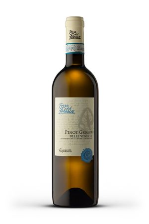 Wino Wino Torre del Falasco Pinot Grigio Delle Venezie - Włochy