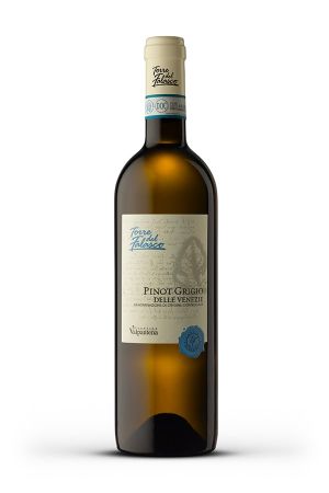 Wino Torre del Falasco Pinot Grigio Delle Venezie - Włochy