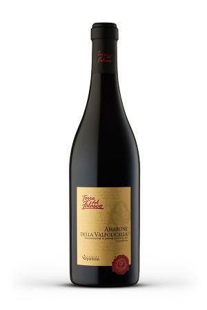 Wino Wino Torre del Falasco Amarone della Valpolicella - Włochy