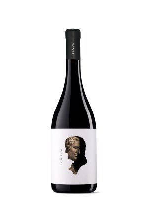 Wino Teanum Otre Primitivo - Włochy