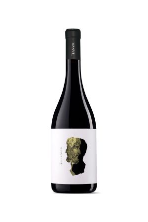 Wino Teanum Otre Aglianico - Włochy