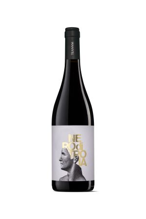 Wino Teanum Favugnë Nero Di Troja - Włochy