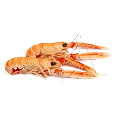Homarzec 17/20 langustynka 1kg/700g mrożony - Holandia