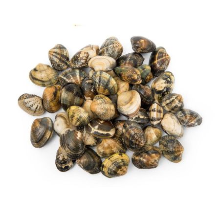 Małże Wenus Vongole 40-60 mrożone - Chiny 