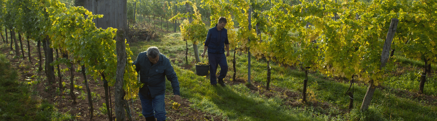 Hierler Fine Wine