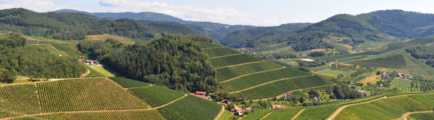 Badenia-Wirtembergia, Baden Qba