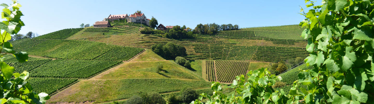 Badenia-Wirtembergia, Baden QmP