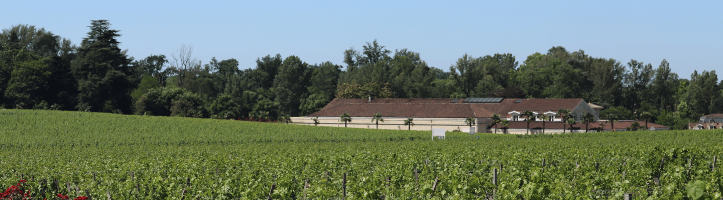 Bordeaux, Graves, Pessac-Léognan AP