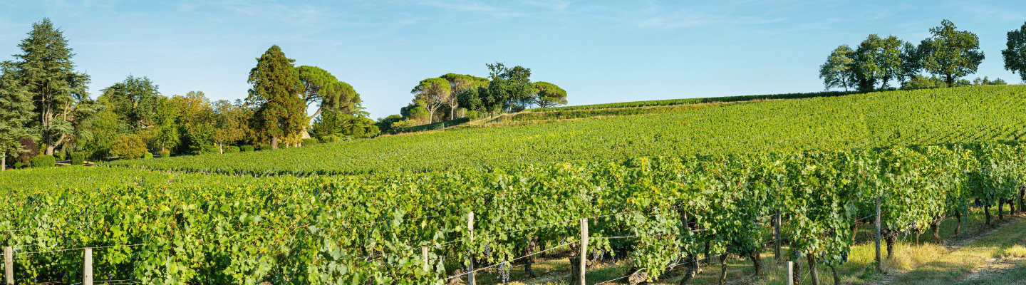 Bordeaux, Lalande-de-Pomerol AP