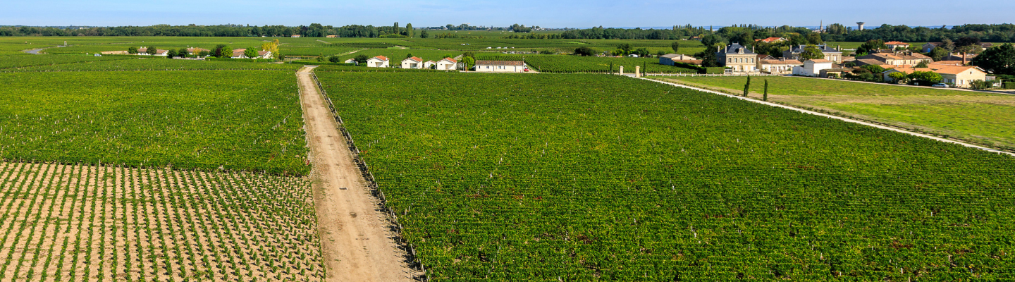 Bordeaux, Médoc, Saint-Julien AP