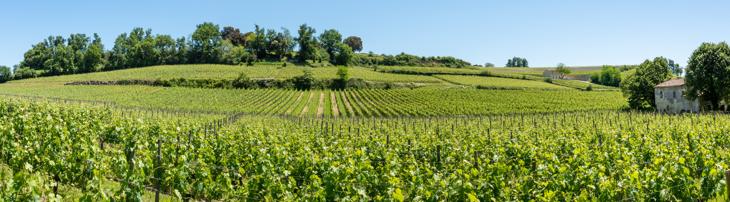 Bordeaux, Montagne Saint-Émilion AP