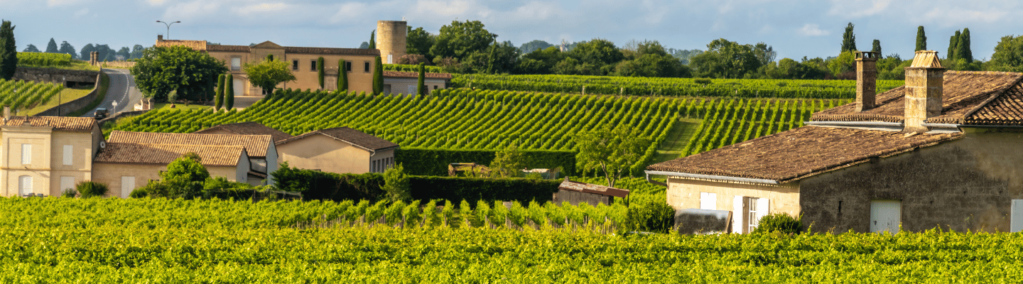 Bordeaux, Saint-Emilion Grand Cru AP