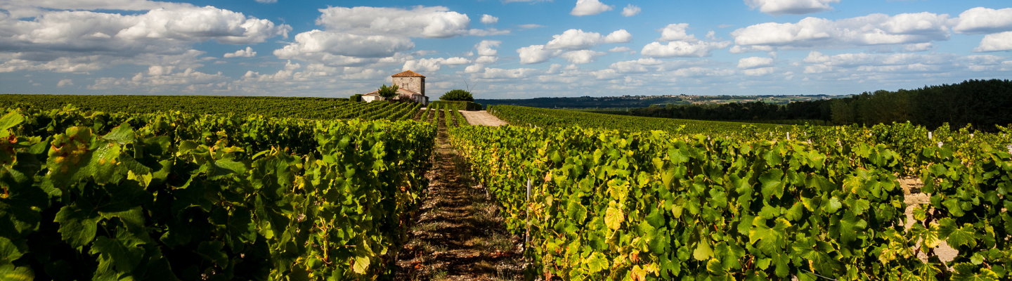 Bordeaux, Sauternes AP