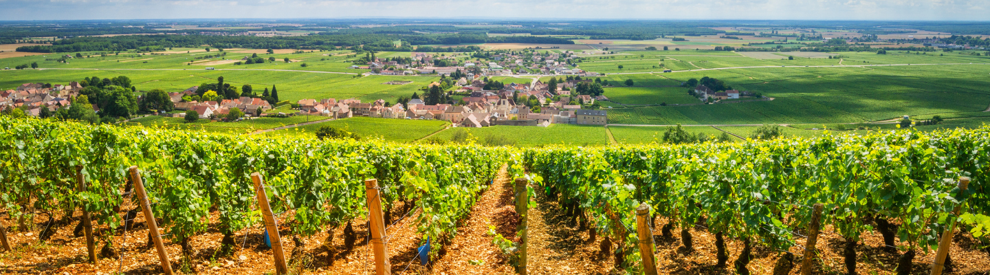 Burgundia, Bourgogne AP