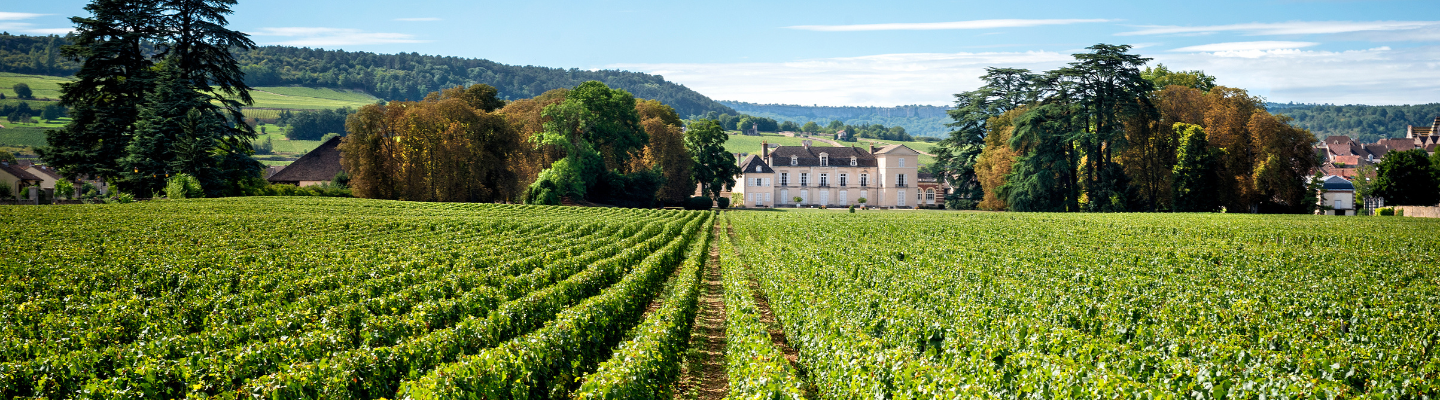 Burgundia, Côte de Beaune, Meursault AP
