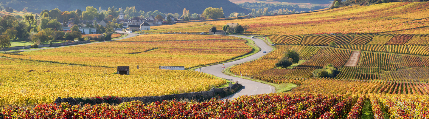 Burgundia, Côte de Beaune, Volnay AP