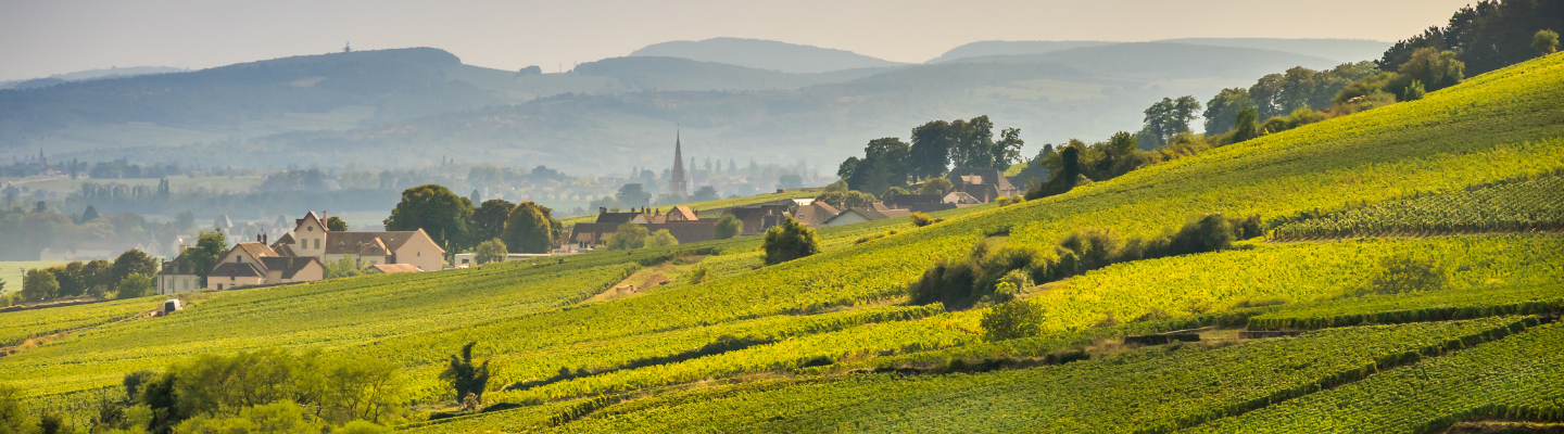 Burgundia, Crémant de Bourgogne AP