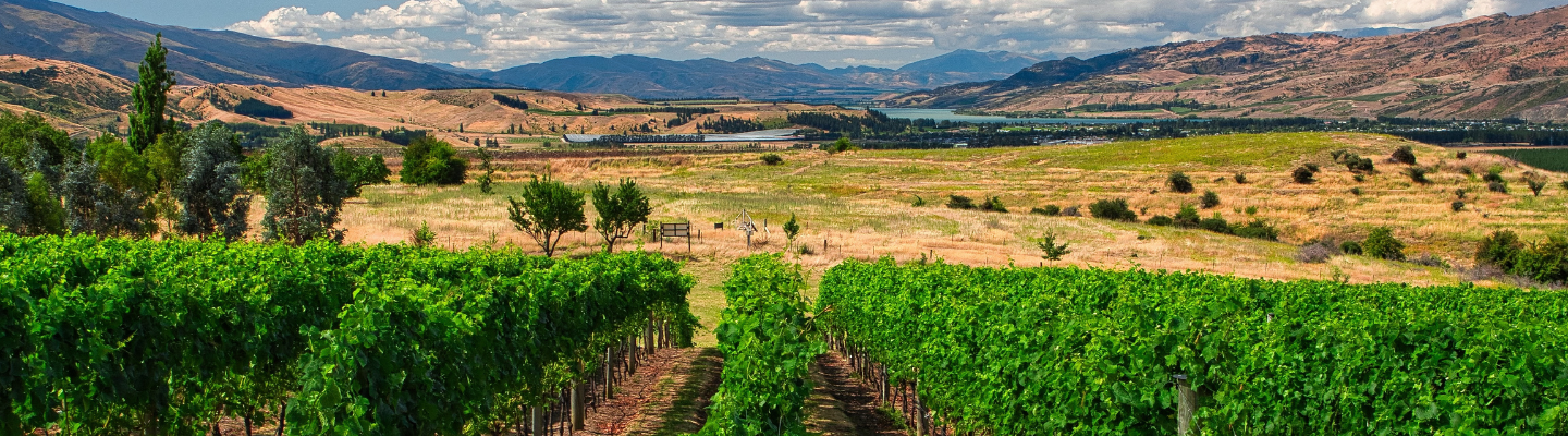 Central Otago