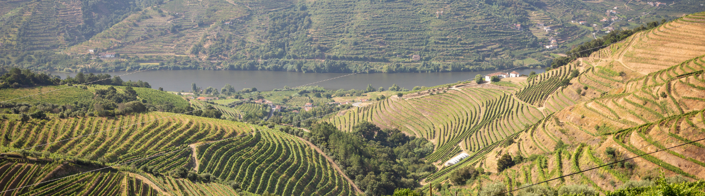 Dolina Douro, Douro DOC