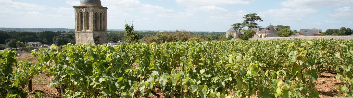 Dolina Loary, Turenia, Vouvray AP