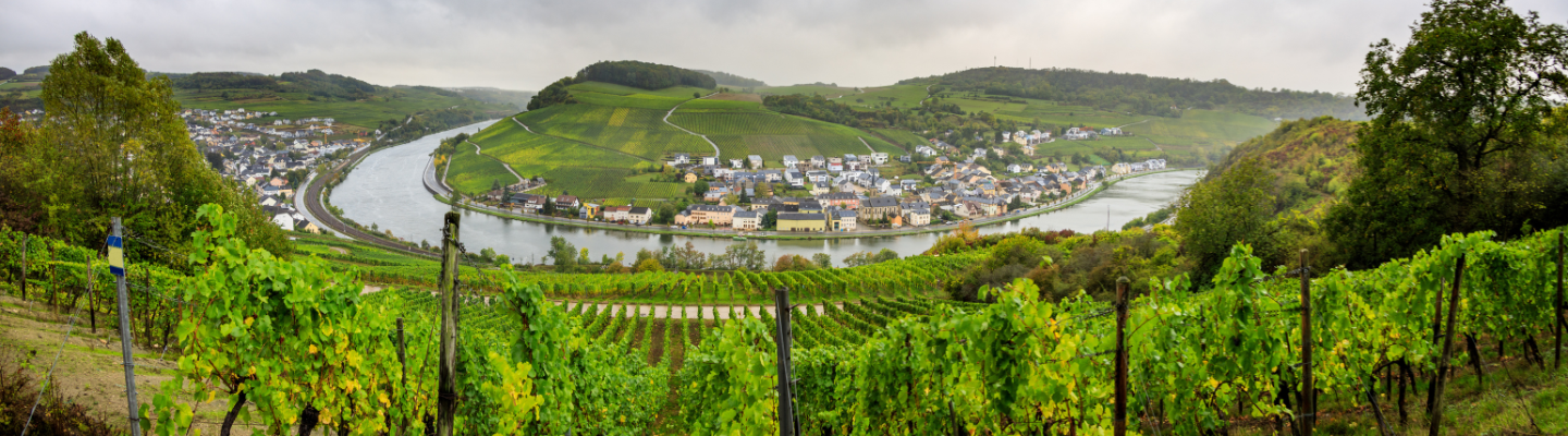 Dolina Mozeli, Mosel Qba