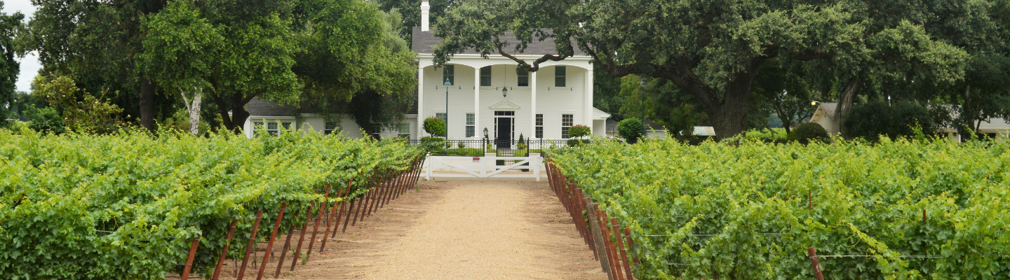 Kalifornia, Lodi