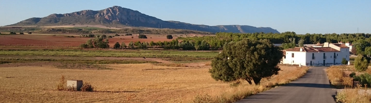 Kastylia La Mancha, Almansa DO