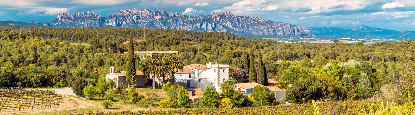 Katalonia, Penedes DO