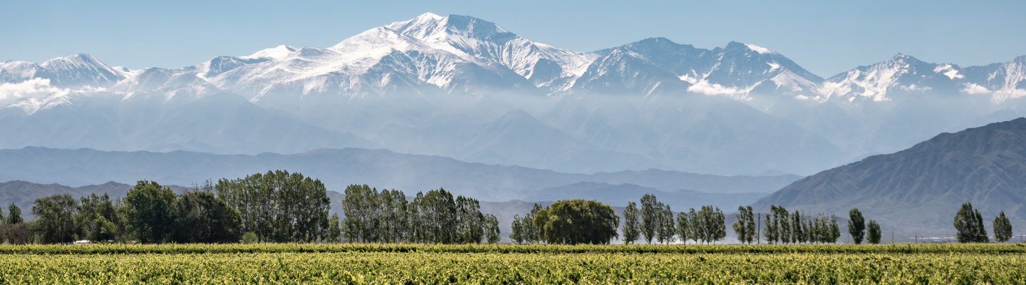 Mendoza