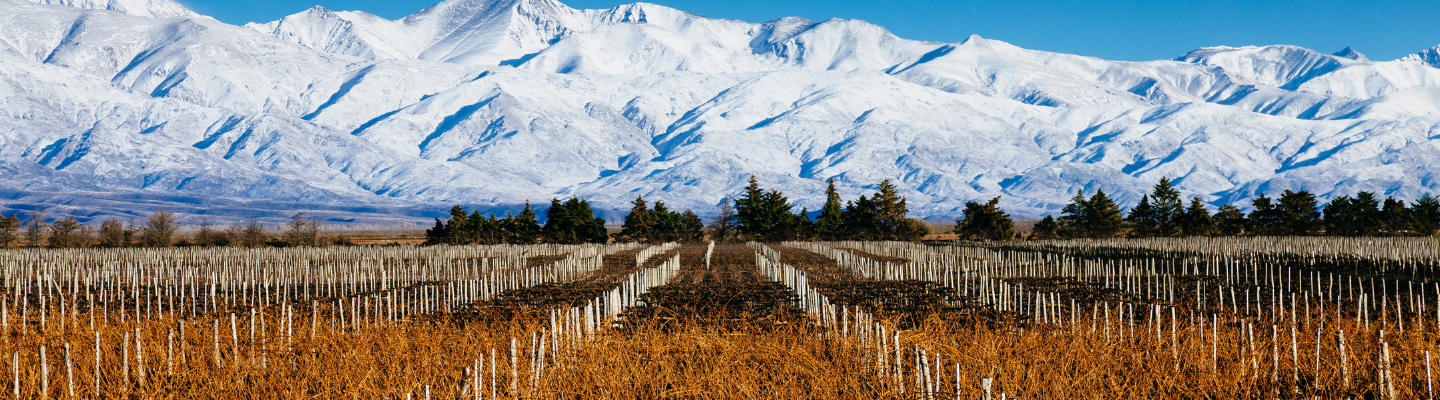 Mendoza, Uco Valley