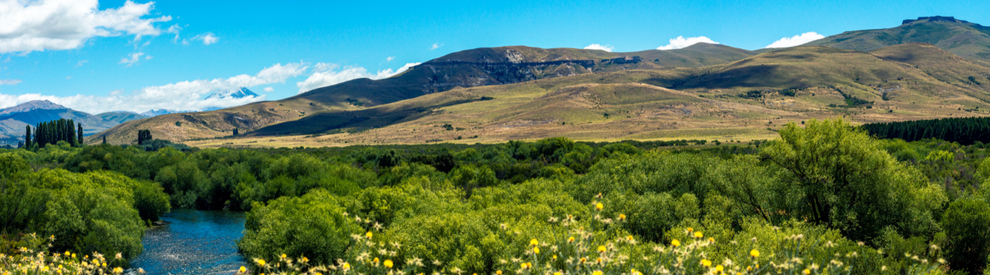 Patagonia